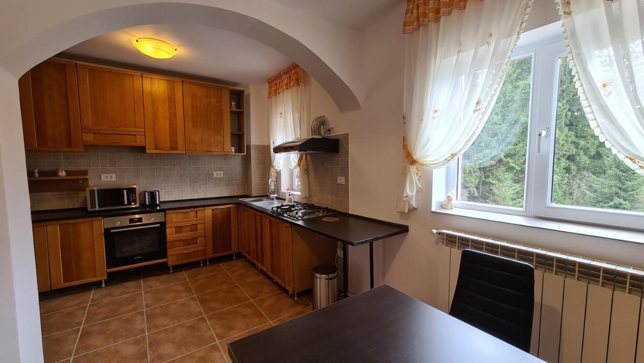 Pensiunea Madalina Durău Exteriér fotografie
